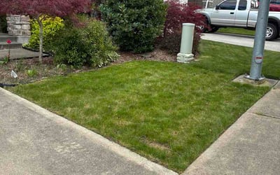 Photo of Blaise A.'s yard after getting lawn care in Latham, NY