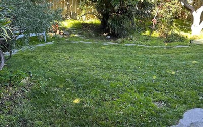 Photo of Julie E.'s yard after getting lawn care in Escondido, CA