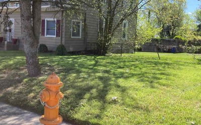 Photo of Barb M.'s yard after getting lawn care in Hampstead, MD