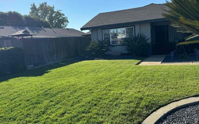 Photo of Steven B.'s yard after getting lawn care in Ceres, CA