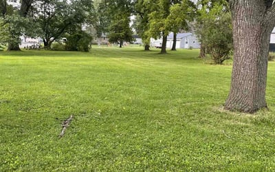 Photo of Trevor G.'s yard after getting lawn care in East Moline, IL