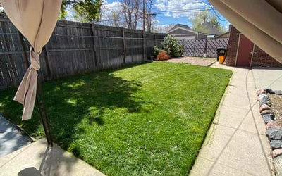 Photo of Staci G.'s yard after getting lawn care in Denver, CO