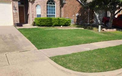 Photo of Gloria S.'s yard after getting lawn care in Lexington, NC
