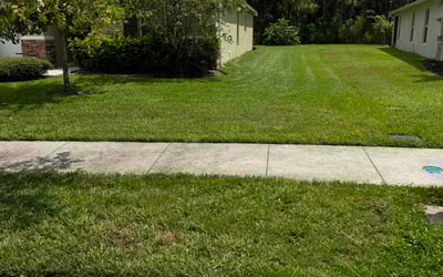 Photo of Jeremy J.'s yard after getting lawn care in Mocksville, NC