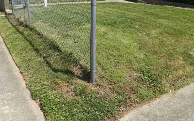 Photo of Cheryl M.'s yard after getting lawn care in College Park, MD