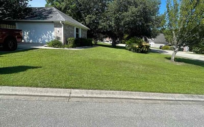 Photo of Amy S.'s yard after getting lawn care in Milford, OH