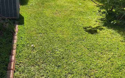 Photo of Nathan B.'s yard after getting lawn care in Menasha, WI