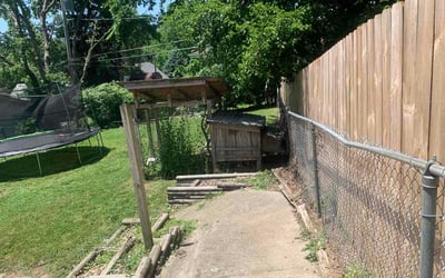 Photo of Shounda S.'s yard after getting lawn care in Valley Stream, NY