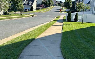 Photo of Charline B.'s yard after getting lawn care in Great Falls, VA
