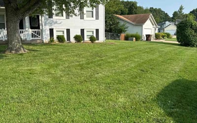Photo of Rhiannon S.'s yard after getting lawn care in Union, MO