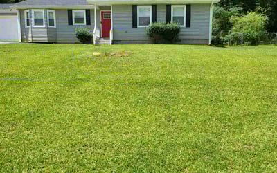 Photo of Beverly N.'s yard after getting lawn care in Erie, PA