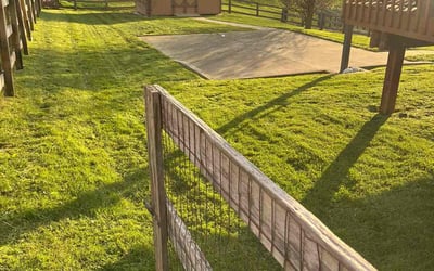 Photo of David F.'s yard after getting lawn care in Florence, KY