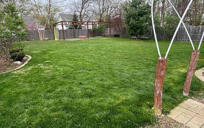 Photo of Ryan S.'s yard after getting lawn care in Barrington, IL