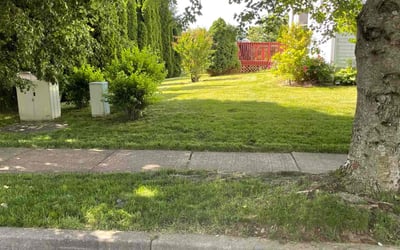 Photo of Kelly W.'s yard after getting lawn care in Easton, PA