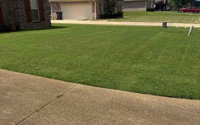 Photo of Brandon B.'s yard after getting lawn care in Temple, GA