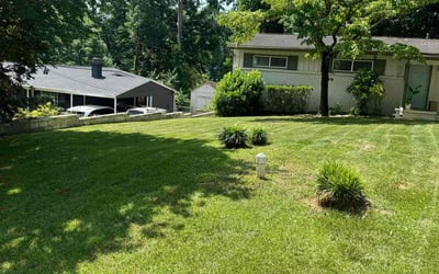 Photo of Darryl R.'s yard after getting lawn care in Elizabethton, TN