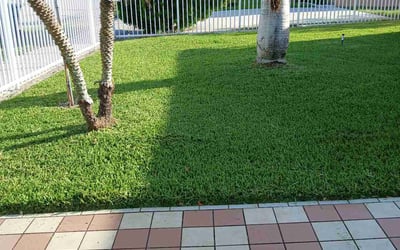 Photo of Ian R.'s yard after getting lawn care in Fayetteville, NC