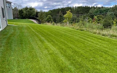 Photo of Patricia F.'s yard after getting lawn care in Inver Grove Heights, MN