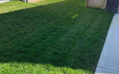 Photo of Carleen T.'s yard after getting lawn care in Versailles, KY