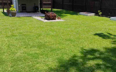Photo of Brittany A.'s yard after getting lawn care in Strongsville, OH