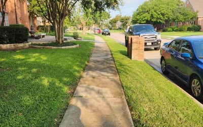 Photo of Darion P.'s yard after getting lawn care in Sanger, TX