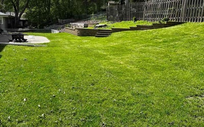 Photo of Kelli L.'s yard after getting lawn care in Hastings, MN