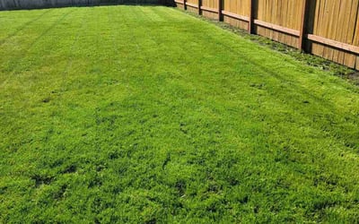 Photo of Eleanor W.'s yard after getting lawn care in Fife, WA