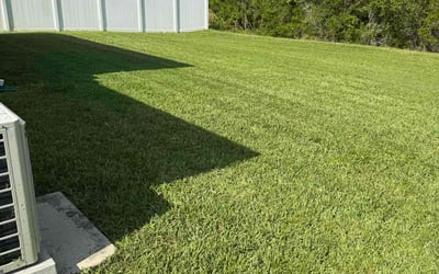 Photo of Ben H.'s yard after getting lawn care in Grayslake, IL