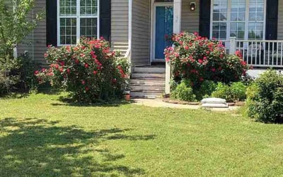 Photo of Carrie H.'s yard after getting lawn care in Four Oaks, NC