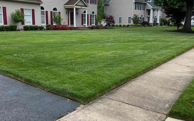 Photo of Gabrielle W.'s yard after getting lawn care in Metuchen, NJ