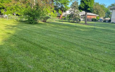 Photo of Helen M.'s yard after getting lawn care in Corydon, IN