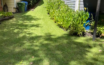 Photo of Kipp A.'s yard after getting lawn care in Atlanta, GA
