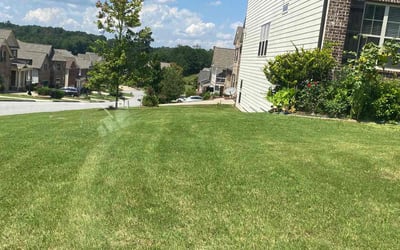 Photo of Chris E.'s yard after getting lawn care in Carrollton, GA