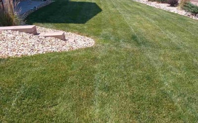 Photo of Jeanne F.'s yard after getting lawn care in Colorado Springs, CO