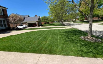 Photo of Joanette D.'s yard after getting lawn care in Sayreville, NJ