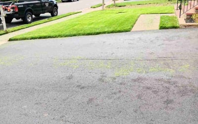 Photo of Sarah v.'s yard after getting lawn care in Centreville, VA