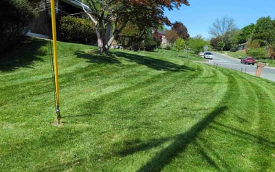 Photo of Shelita J.'s yard after getting lawn care in Laurel, MD