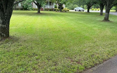 Photo of Sandra A.'s yard after getting lawn care in Tiverton, RI