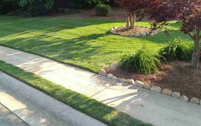 Photo of Shynethia C.'s yard after getting lawn care in Carrollton, GA
