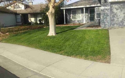 Photo of Amelia C.'s yard after getting lawn care in Vacaville, CA