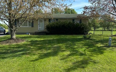 Photo of Luke M.'s yard after getting lawn care in Chevy Chase, MD