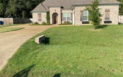 Photo of Jennifer P.'s yard after getting lawn care in Olive Branch, MS