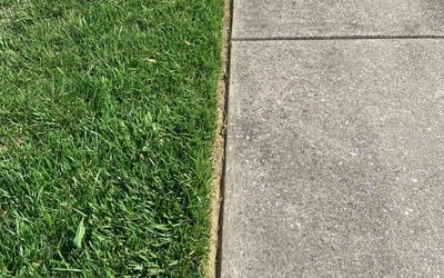 Photo of Leslie R.'s yard after getting lawn care in Joppa, MD