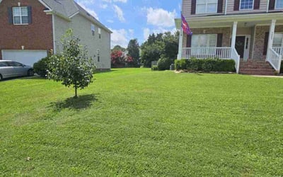 Photo of Khalia P.'s yard after getting lawn care in Stone Mountain, GA