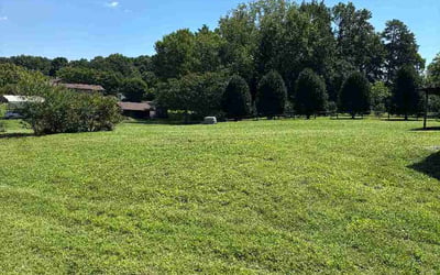 Photo of Suellen H.'s yard after getting lawn care in West Roxbury, MA