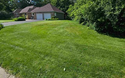Photo of John C.'s yard after getting lawn care in Apple Valley, MN