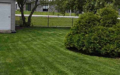 Photo of Lisa J.'s yard after getting lawn care in Ankeny, IA