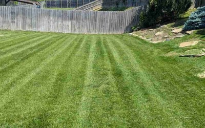 Photo of Gregory S.'s yard after getting lawn care in Nashville, TN