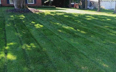 Photo of Denise M.'s yard after getting lawn care in Webster, NY