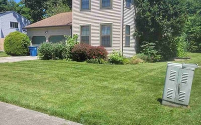 Photo of Michael W.'s yard after getting lawn care in Bear, DE